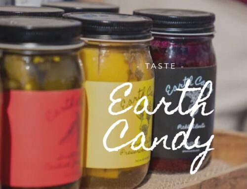Earth Candy Recipe Ideas